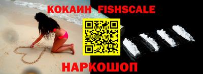 spice Камышлов