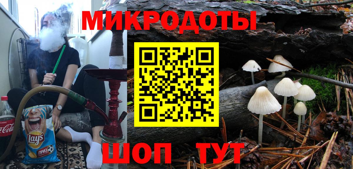 Кольчугино  Псилоцибиновые грибы Psilocybe  Вход с VPN 