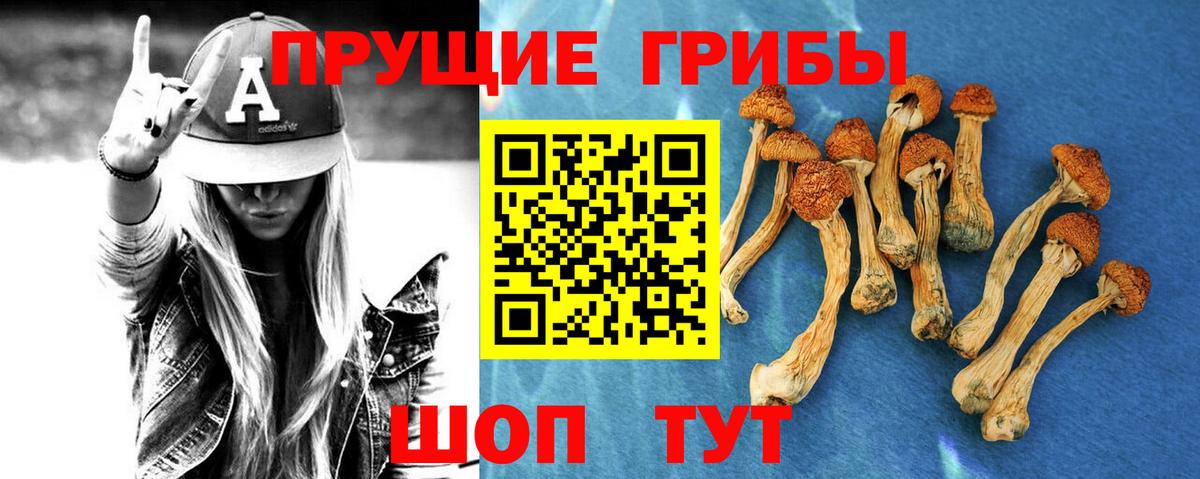 Псилоцибиновые грибы мухоморы Кольчугино